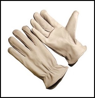 Seattle Glove 8464 Goatskin Drivers Glove